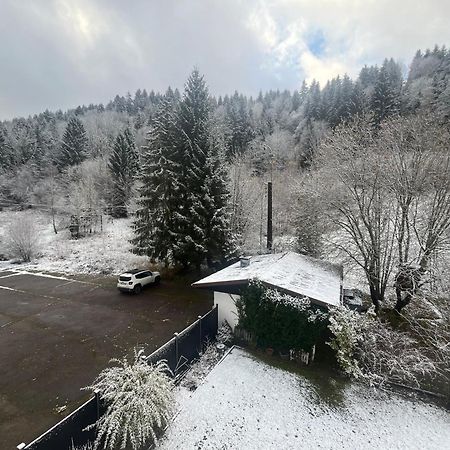 Studio Chalet Cosy Gérardmer Exterior photo